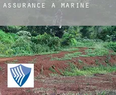 Assurance à  Marine