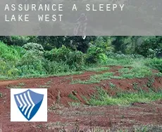 Assurance à Sleepy Lake West
