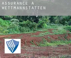 Assurance à Wettmannstätten
