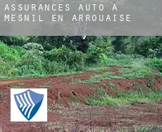 Assurances auto à  Mesnil-en-Arrouaise