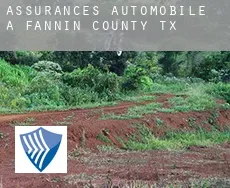 Assurances automobile à  Fannin