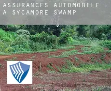 Assurances automobile à  Sycamore Swamp