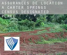 Assurances de location à  Carter Springs