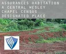 Assurances habitation à  Central Wesley Chapel