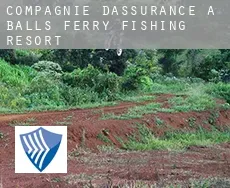 Compagnie d'assurance à  Balls Ferry Fishing Resort