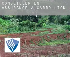Conseiller en assurance à Carrollton