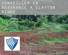 Conseiller en assurance à  Clayton Ridge
