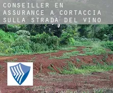 Conseiller en assurance à Cortaccia sulla strada del vino