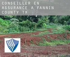 Conseiller en assurance à Fannin