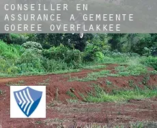 Conseiller en assurance à Gemeente Goeree-Overflakkee