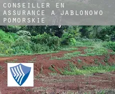 Conseiller en assurance à  Jabłonowo Pomorskie