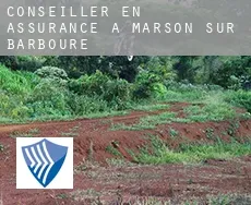 Conseiller en assurance à Marson-sur-Barboure