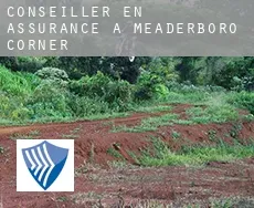 Conseiller en assurance à  Meaderboro Corner