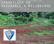 Conseiller en assurance à Millbridge