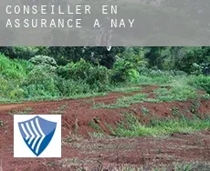 Conseiller en assurance à  Nay