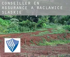 Conseiller en assurance à Racławice Śląskie