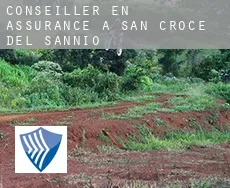 Conseiller en assurance à Santa Croce del Sannio