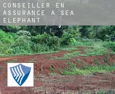 Conseiller en assurance à  Sea Elephant