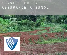 Conseiller en assurance à Sunol