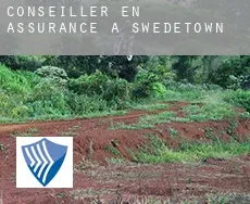 Conseiller en assurance à  Swedetown