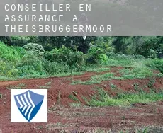 Conseiller en assurance à  Theisbrüggermoor