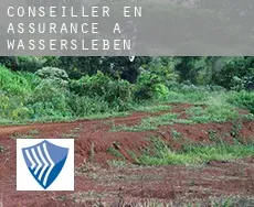 Conseiller en assurance à  Wassersleben