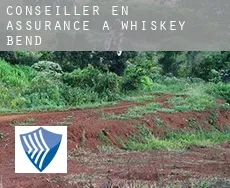 Conseiller en assurance à  Whiskey Bend