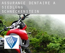 Assurance dentaire à  Siedlung Schneckenstein