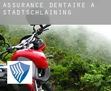 Assurance dentaire à  Stadtschlaining