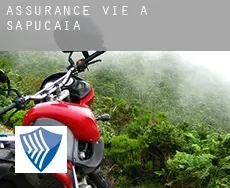 Assurance vie à  Sapucaia