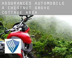 Assurances automobile à Chestnut Grove Cottage Area