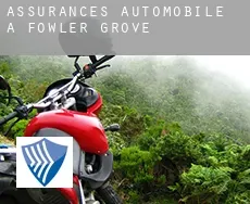 Assurances automobile à  Fowler Grove