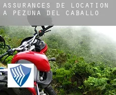 Assurances de location à  Pezuna del Caballo