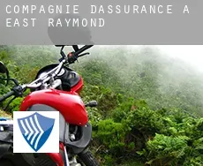 Compagnie d'assurance à East Raymond