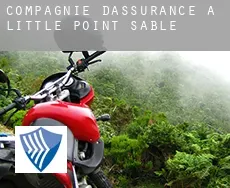 Compagnie d'assurance à Little Point Sable