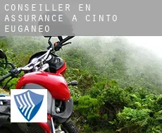 Conseiller en assurance à  Cinto Euganeo