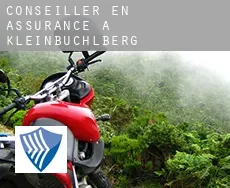 Conseiller en assurance à  Kleinbüchlberg