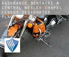 Assurance dentaire à Central Wesley Chapel