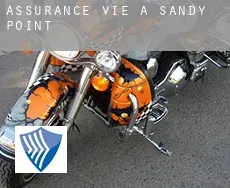 Assurance vie à  Sandy Point
