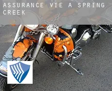 Assurance vie à  Spring Creek