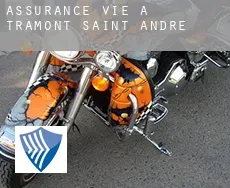 Assurance vie à Tramont-Saint-André