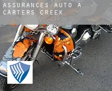 Assurances auto à  Carters Creek