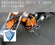 Assurances auto à Vega de Liébana