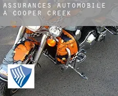 Assurances automobile à  Cooper Creek