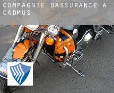 Compagnie d'assurance à  Cadmus