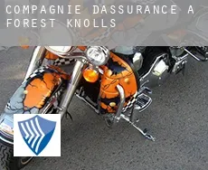 Compagnie d'assurance à  Forest Knolls