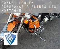 Conseiller en assurance à  Flines-lès-Mortagne