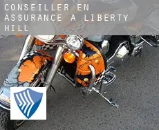 Conseiller en assurance à  Liberty Hill