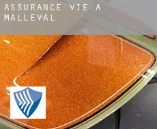 Assurance vie à  Malleval