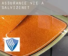 Assurance vie à  Salvizinet